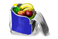 COOLER BAG
